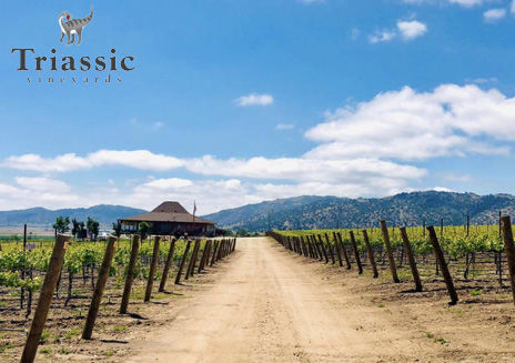 jazz-flute-concert eltma